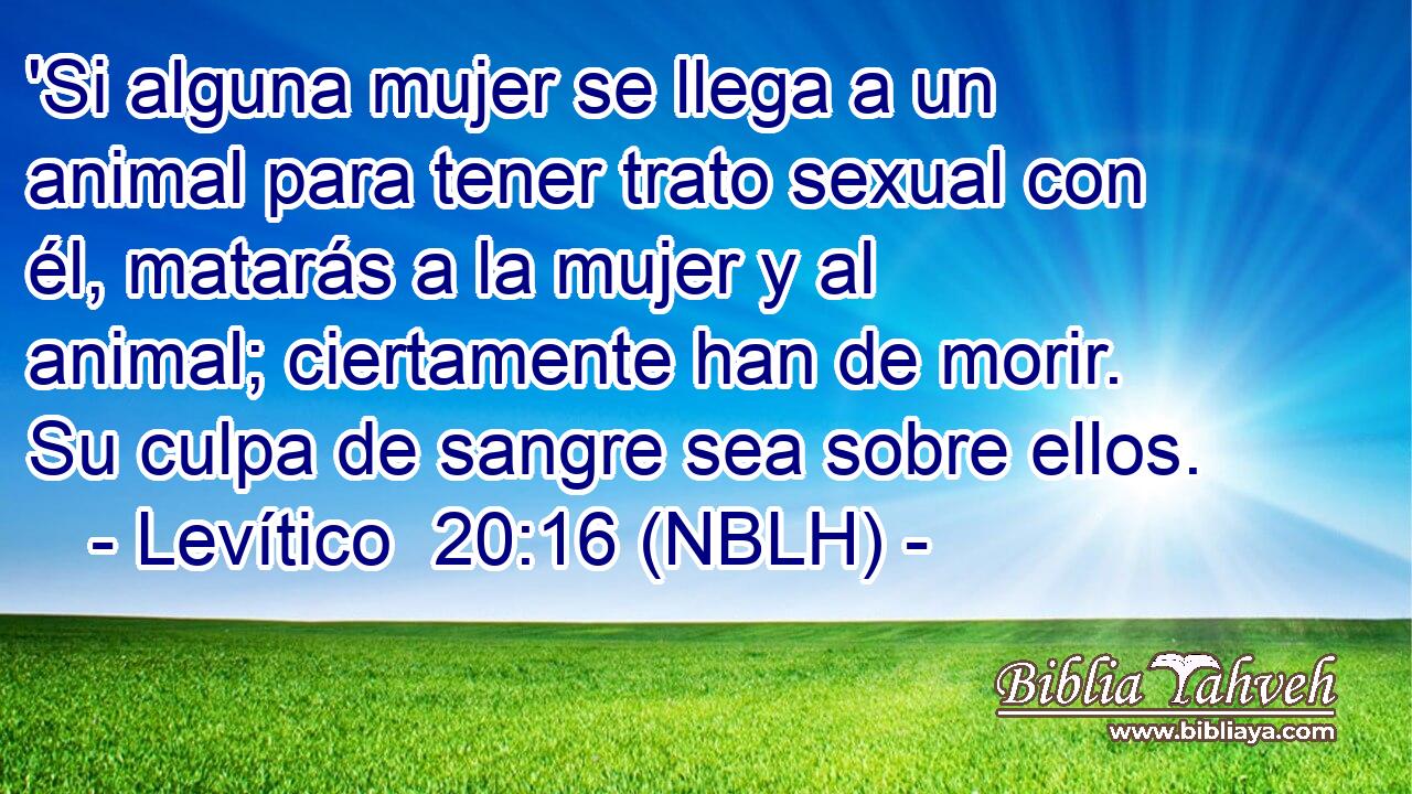  'Si alguna mujer se llega a un animal para tener trato sexual con él, matarás a la mujer y al animal; ciertamente han de morir. Su culpa de sangre sea sobre ellos. 