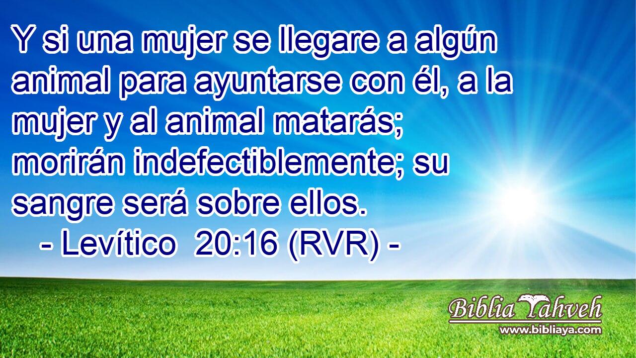 Y si una mujer se llegare a algún animal para ayuntarse con él, a la mujer y al animal matarás; morirán indefectiblemente; su sangre será sobre ellos.