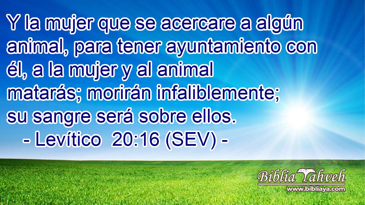 Y la mujer que se acercare a algún animal, para tener ayuntamiento con él, a la mujer y al animal matarás; morirán infaliblemente; su sangre será sobre ellos.