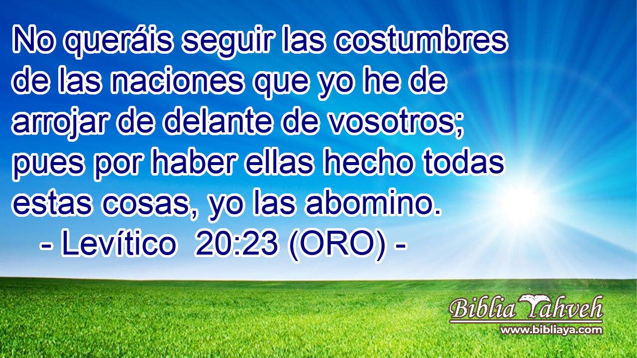  No queráis seguir las costumbres de las naciones que yo he de arrojar de delante de vosotros; pues por haber ellas hecho todas estas cosas, yo las abomino. 