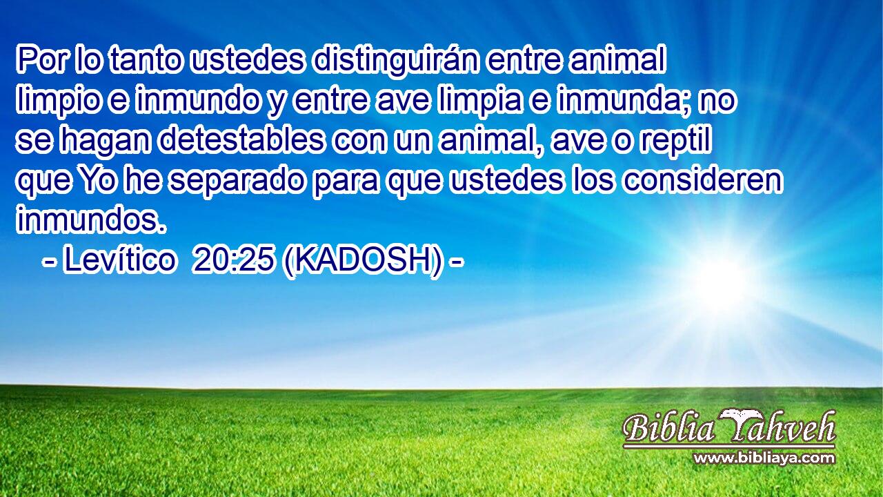  Por lo tanto ustedes distinguirán entre animal limpio e inmundo y entre ave limpia e inmunda; no se hagan detestables con un animal, ave o reptil que Yo he separado para que ustedes los consideren inmundos. 