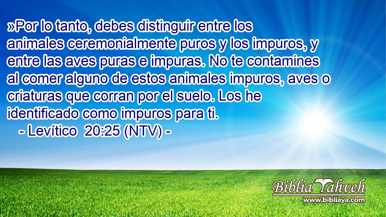 »Por lo tanto, debes distinguir entre los animales ceremonialmente puros y los impuros, y entre las aves puras e impuras. No te contamines al comer alguno de estos animales impuros, aves o criaturas que corran por el suelo. Los he identificado como impuros para ti.