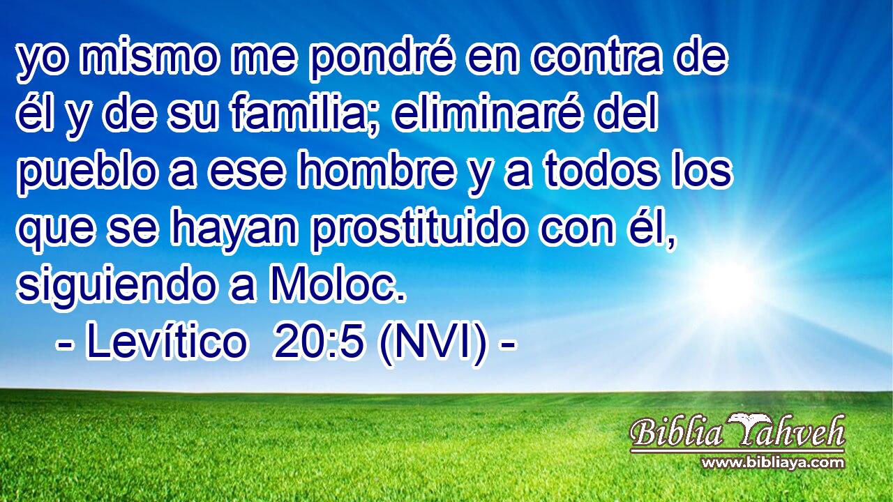  yo mismo me pondré en contra de él y de su familia; eliminaré del pueblo a ese hombre y a todos los que se hayan prostituido con él, siguiendo a Moloc. 