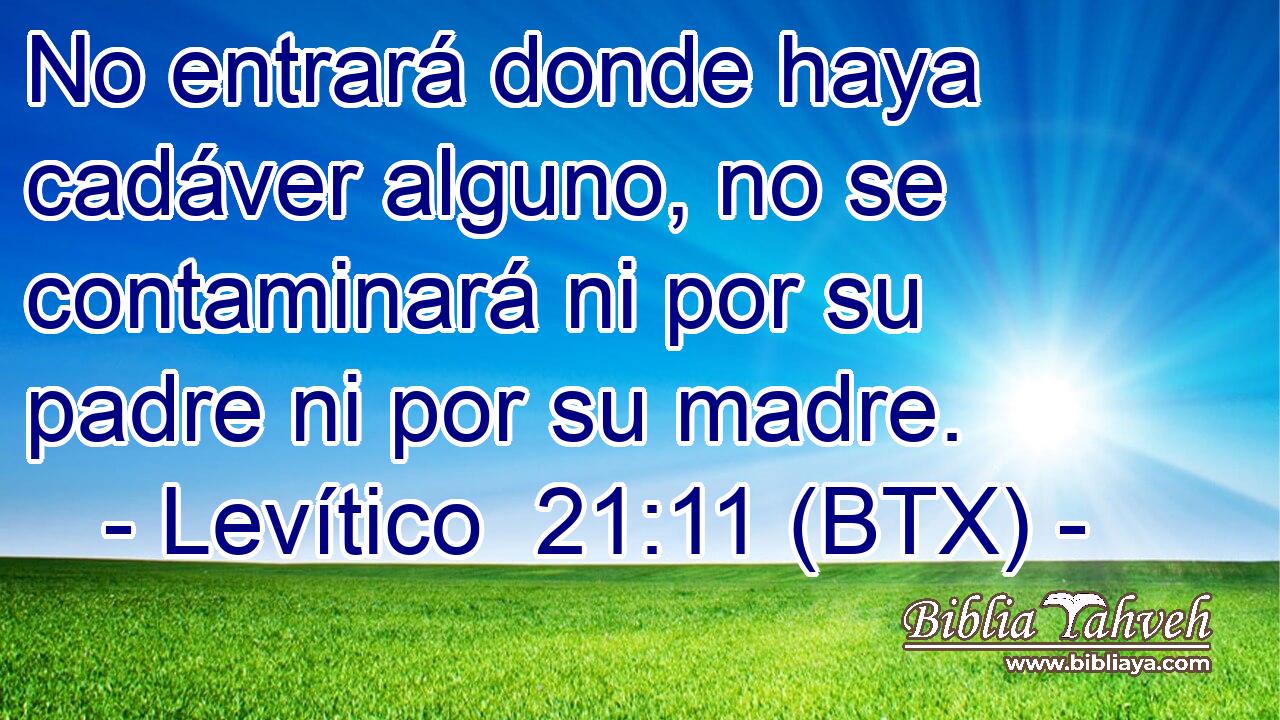 No entrará donde haya cadáver alguno, no se contaminará ni por su padre ni por su madre.