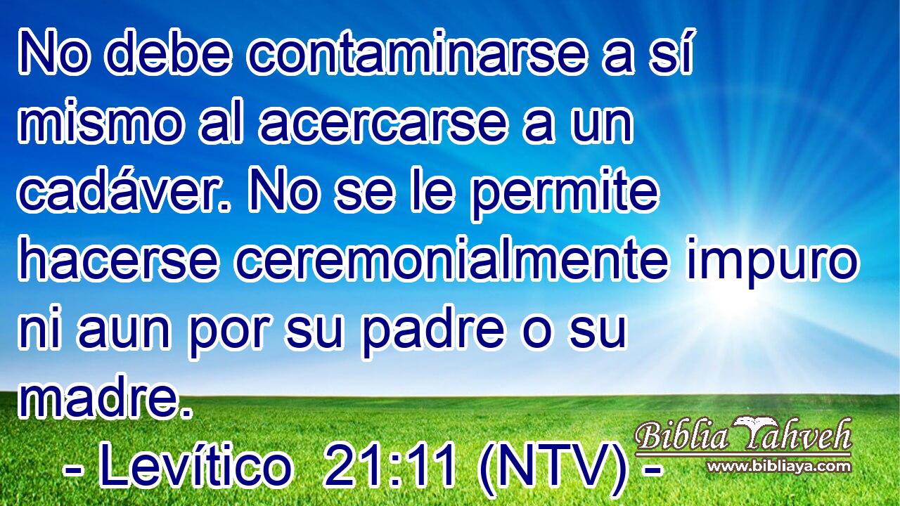 No debe contaminarse a sí mismo al acercarse a un cadáver. No se le permite hacerse ceremonialmente impuro ni aun por su padre o su madre.
