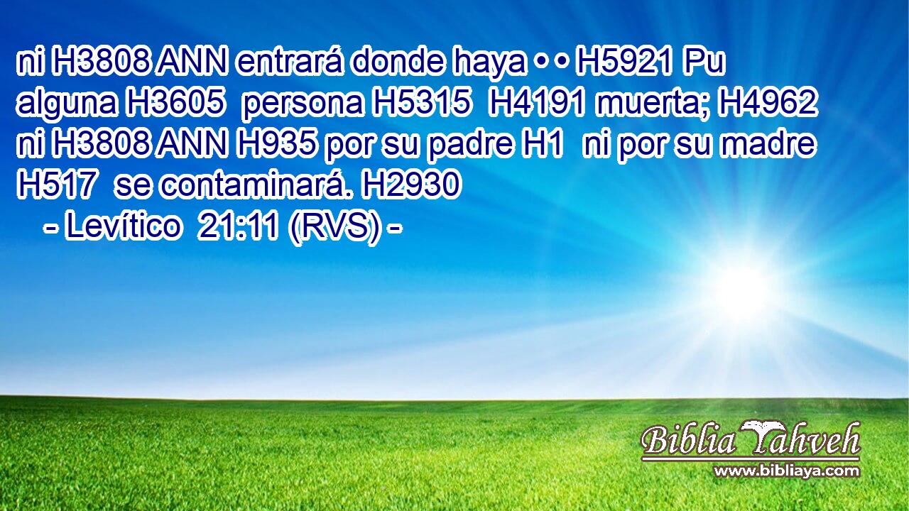 ni H3808 ANN entrará donde haya • • H5921 Pu alguna H3605  persona H5315  H4191 muerta; H4962  ni H3808 ANN H935 por su padre H1  ni por su madre H517  se contaminará. H2930  