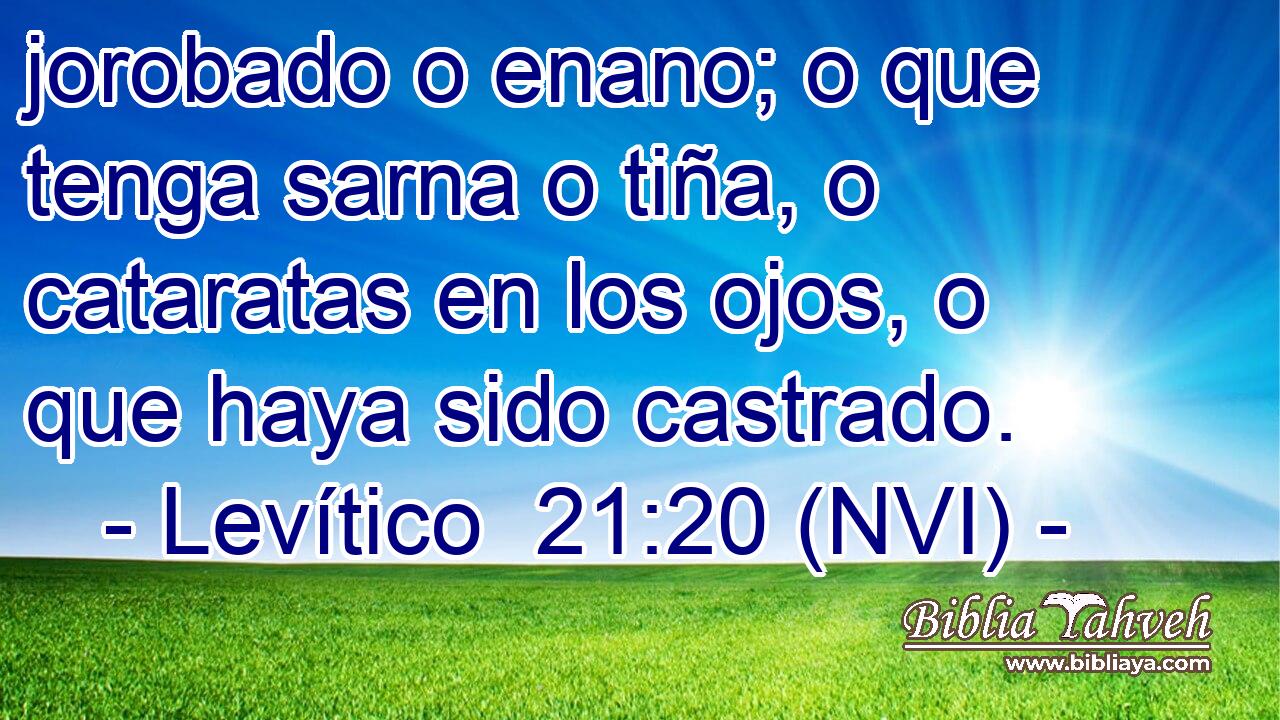  jorobado o enano; o que tenga sarna o tiña, o cataratas en los ojos, o que haya sido castrado. 