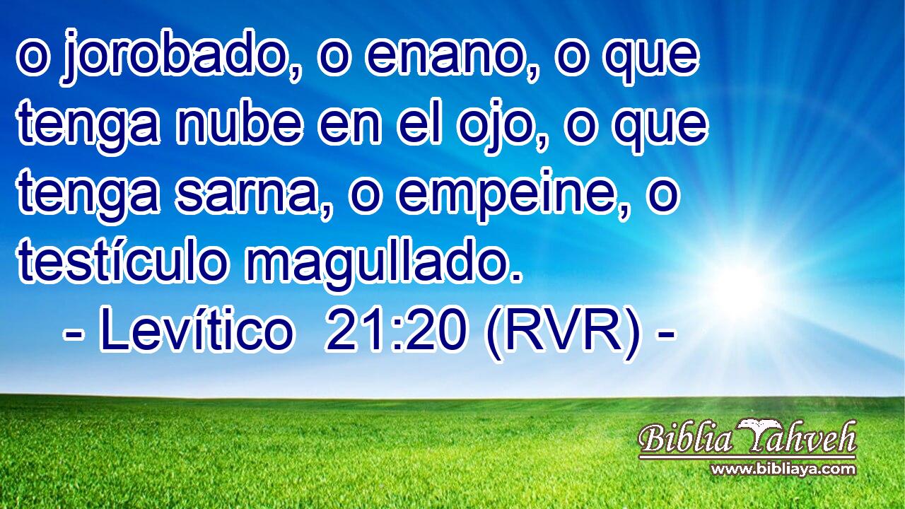 o jorobado, o enano, o que tenga nube en el ojo, o que tenga sarna, o empeine, o testículo magullado.