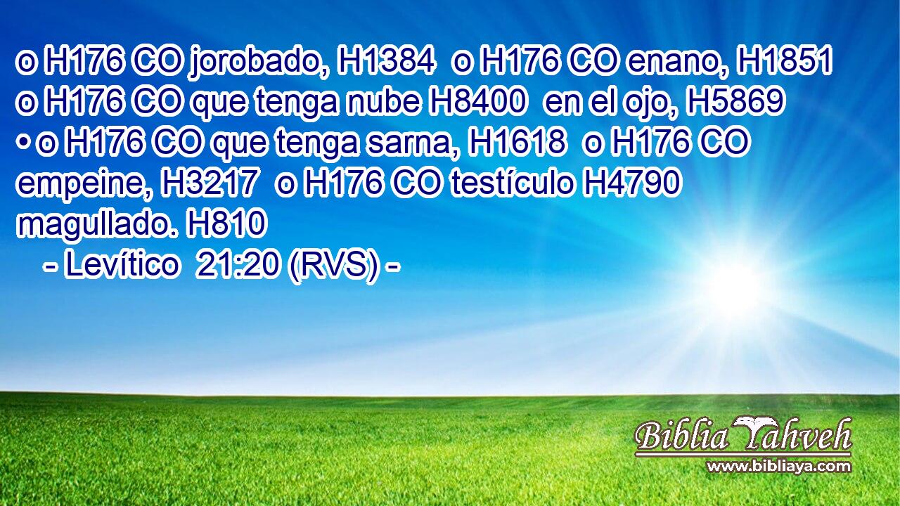 o H176 CO jorobado, H1384  o H176 CO enano, H1851  o H176 CO que tenga nube H8400  en el ojo, H5869  • o H176 CO que tenga sarna, H1618  o H176 CO empeine, H3217  o H176 CO testículo H4790  magullado. H810  