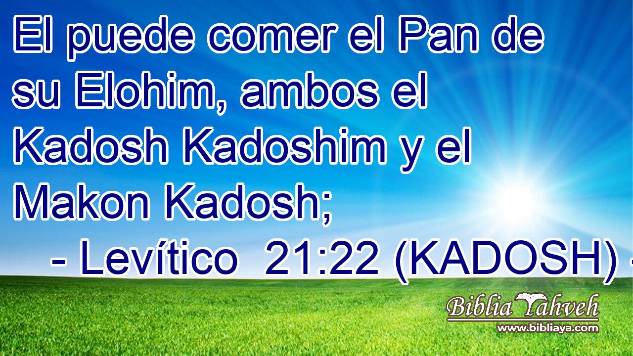  El puede comer el Pan de su Elohim, ambos el Kadosh Kadoshim y el Makon Kadosh; 