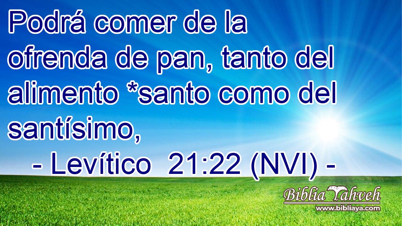  Podrá comer de la ofrenda de pan, tanto del alimento *santo como del santísimo, 