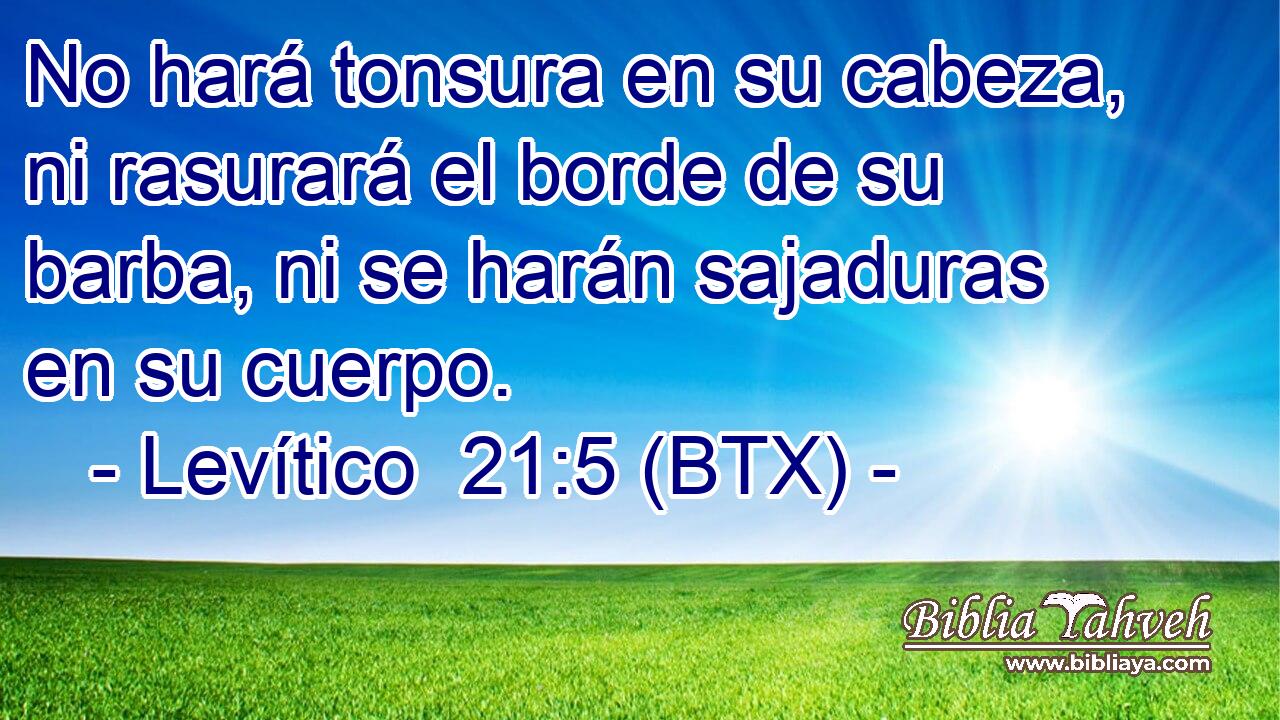 No hará tonsura en su cabeza, ni rasurará el borde de su barba, ni se harán sajaduras en su cuerpo.
