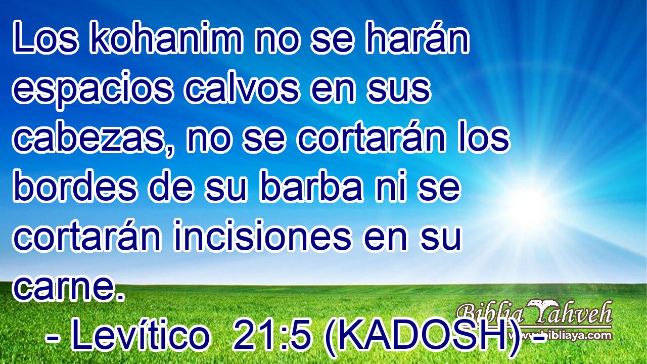  Los kohanim no se harán espacios calvos en sus cabezas, no se cortarán los bordes de su barba ni se cortarán incisiones en su carne. 