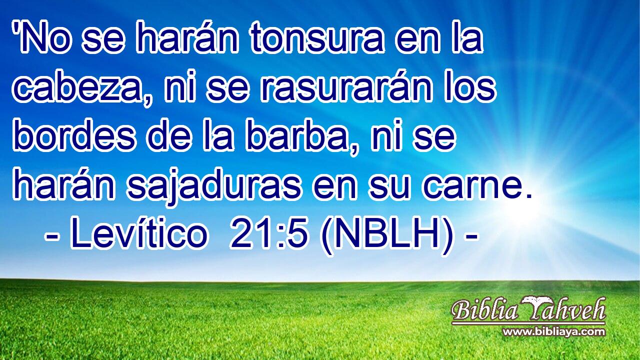  'No se harán tonsura en la cabeza, ni se rasurarán los bordes de la barba, ni se harán sajaduras en su carne. 