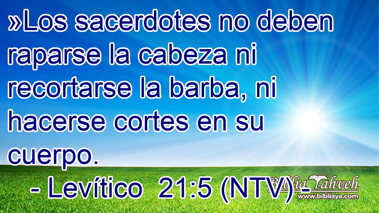 »Los sacerdotes no deben raparse la cabeza ni recortarse la barba, ni hacerse cortes en su cuerpo.