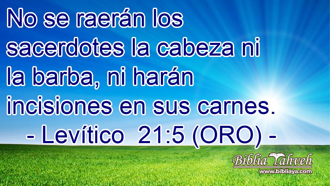  No se raerán los sacerdotes la cabeza ni la barba, ni harán incisiones en sus carnes. 
