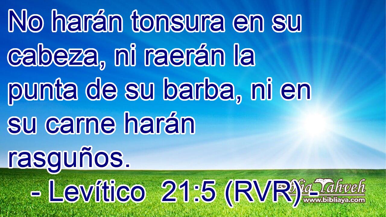 No harán tonsura en su cabeza, ni raerán la punta de su barba, ni en su carne harán rasguños.