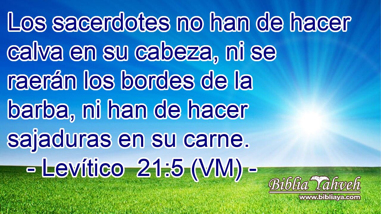  Los sacerdotes no han de hacer calva en su cabeza, ni se raerán los bordes de la barba, ni han de hacer sajaduras en su carne. 