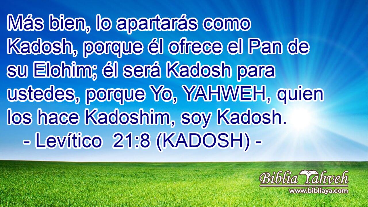  Más bien, lo apartarás como Kadosh, porque él ofrece el Pan de su Elohim; él será Kadosh para ustedes, porque Yo, YAHWEH, quien los hace Kadoshim, soy Kadosh. 