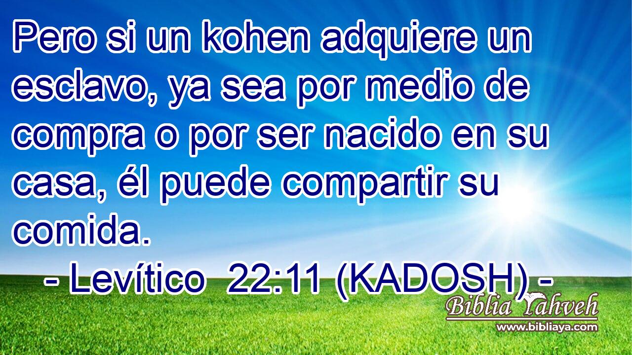  Pero si un kohen adquiere un esclavo, ya sea por medio de compra o por ser nacido en su casa, él puede compartir su comida. 