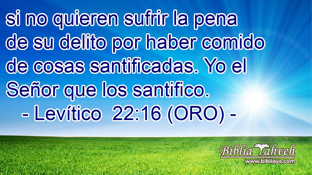  si no quieren sufrir la pena de su delito por haber comido de cosas santificadas. Yo el Señor que los santifico. 
