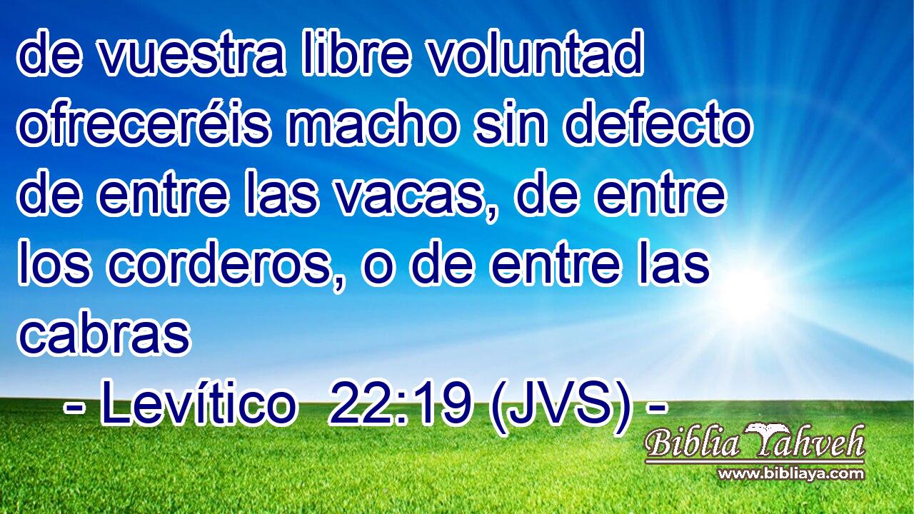 de vuestra libre voluntad ofreceréis macho sin defecto de entre las vacas, de entre los corderos, o de entre las cabras