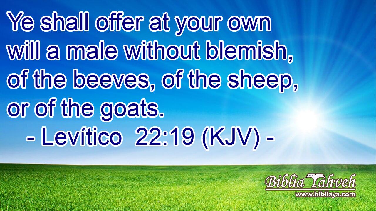 Ye shall offer at your own will a male without blemish, of the beeves, of the sheep, or of the goats.