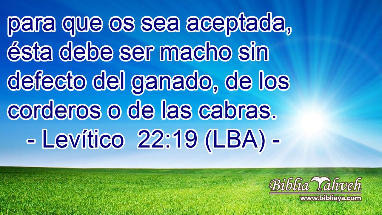 para que os sea aceptada, ésta debe ser macho sin defecto del ganado, de los corderos o de las cabras.