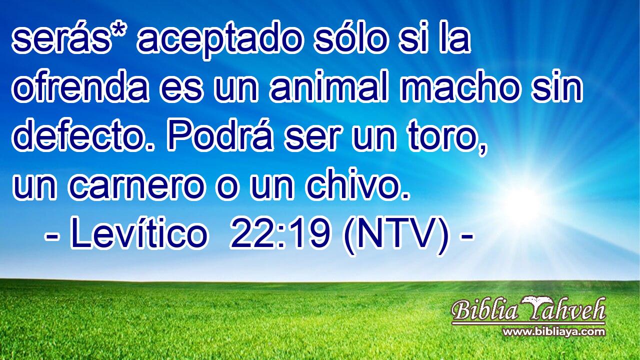 serás* aceptado sólo si la ofrenda es un animal macho sin defecto. Podrá ser un toro, un carnero o un chivo.