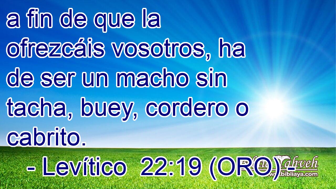  a fin de que la ofrezcáis vosotros, ha de ser un macho sin tacha, buey, cordero o cabrito. 
