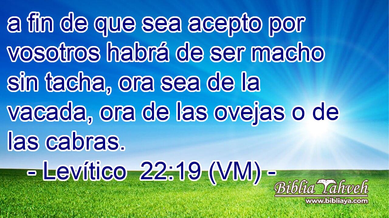  a fin de que sea acepto por vosotros habrá de ser macho sin tacha, ora sea de la vacada, ora de las ovejas o de las cabras. 