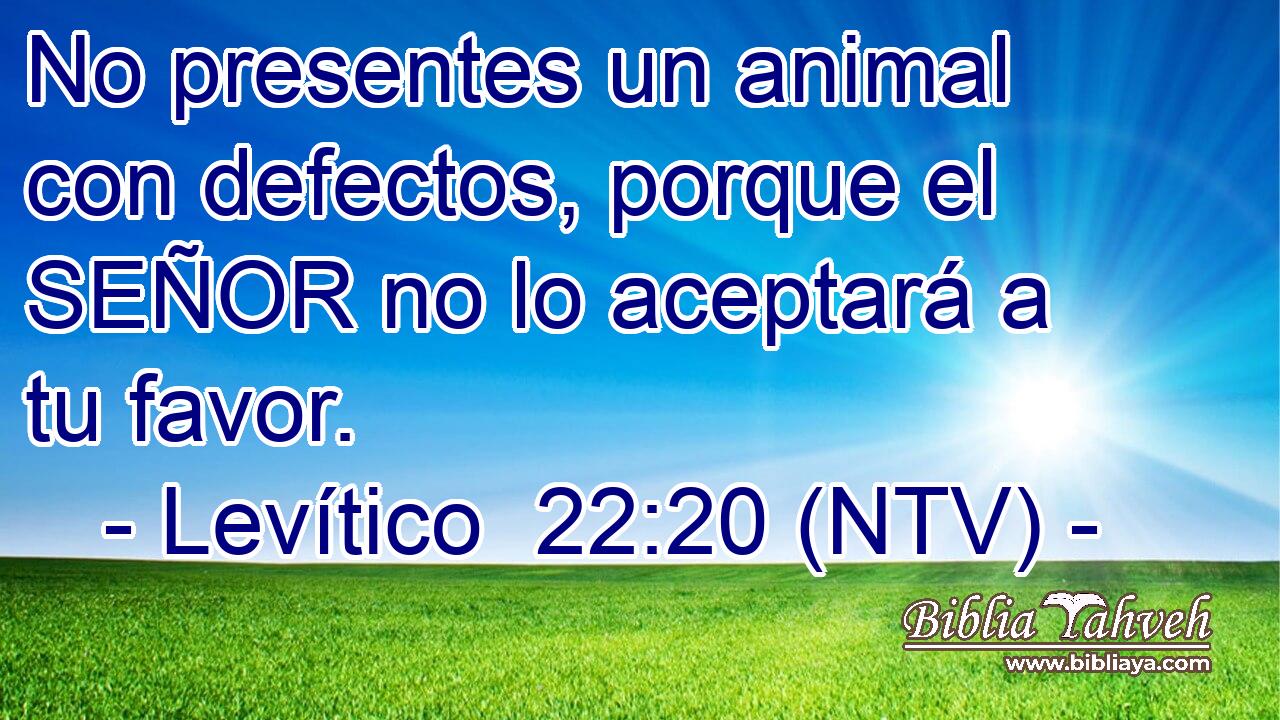 No presentes un animal con defectos, porque el SEÑOR no lo aceptará a tu favor.