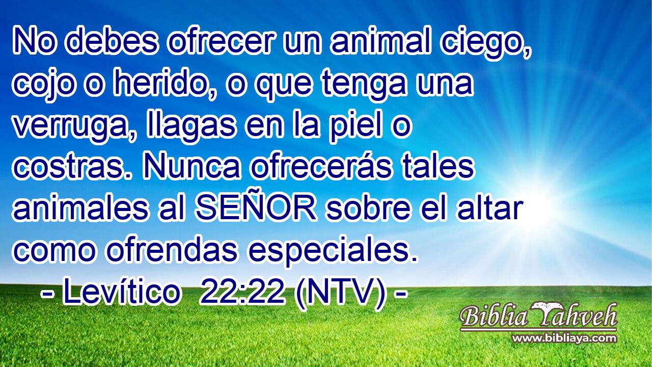 No debes ofrecer un animal ciego, cojo o herido, o que tenga una verruga, llagas en la piel o costras. Nunca ofrecerás tales animales al SEÑOR sobre el altar como ofrendas especiales.