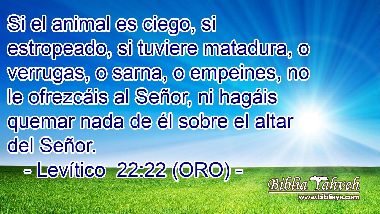  Si el animal es ciego, si estropeado, si tuviere matadura, o verrugas, o sarna, o empeines, no le ofrezcáis al Señor, ni hagáis quemar nada de él sobre el altar del Señor. 