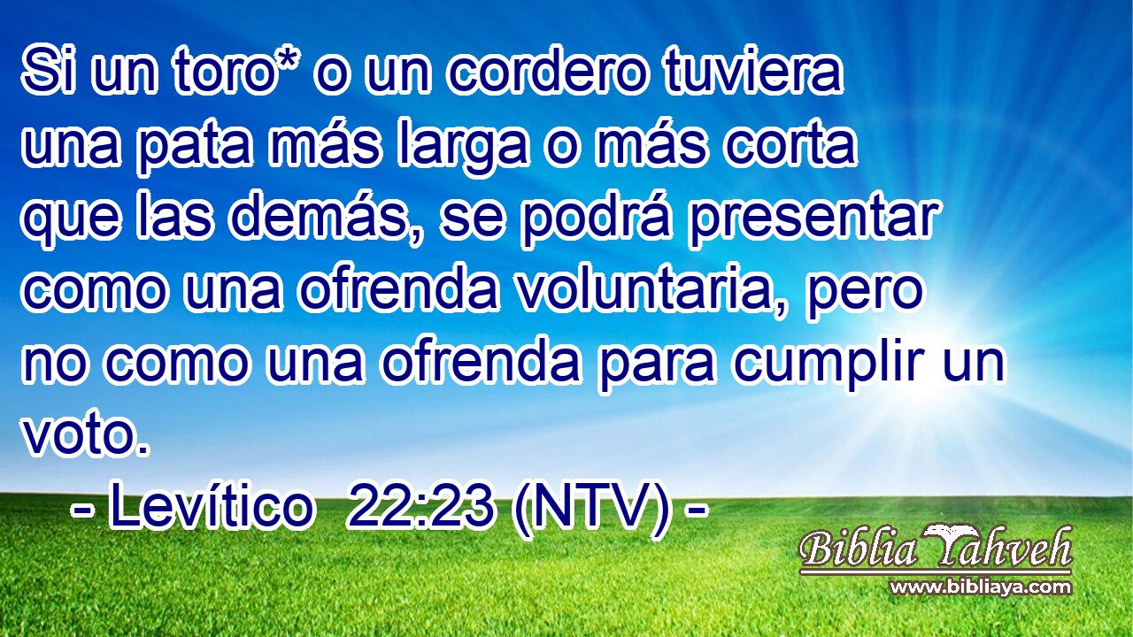 Si un toro* o un cordero tuviera una pata más larga o más corta que las demás, se podrá presentar como una ofrenda voluntaria, pero no como una ofrenda para cumplir un voto.