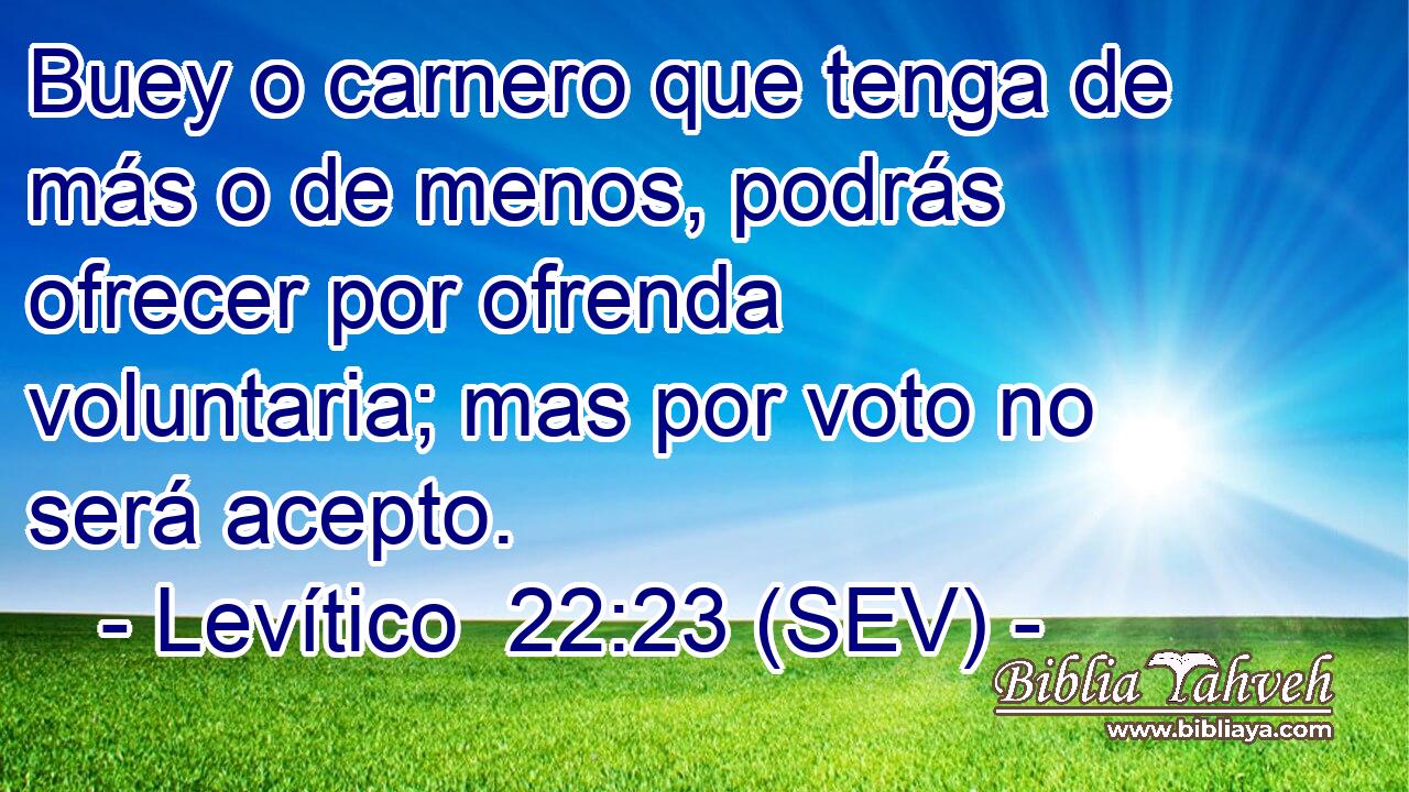Buey o carnero que tenga de más o de menos, podrás ofrecer por ofrenda voluntaria; mas por voto no será acepto.