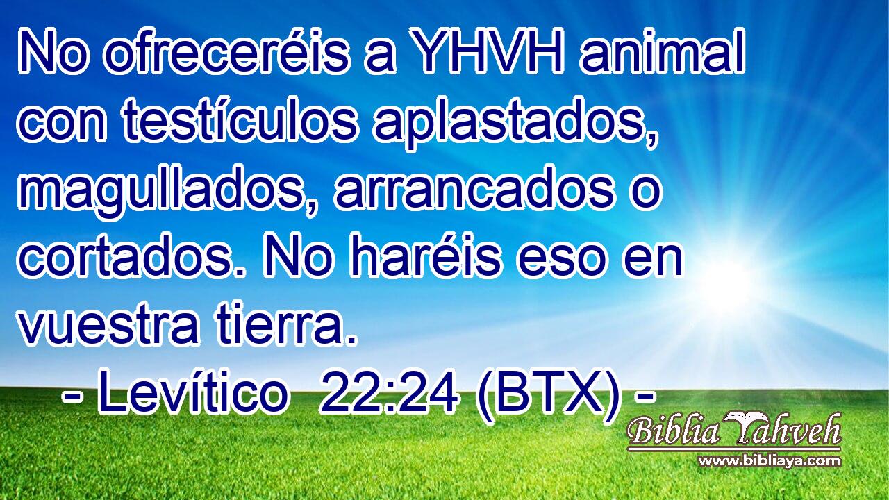 No ofreceréis a YHVH animal con testículos aplastados, magullados, arrancados o cortados. No haréis eso en vuestra tierra.