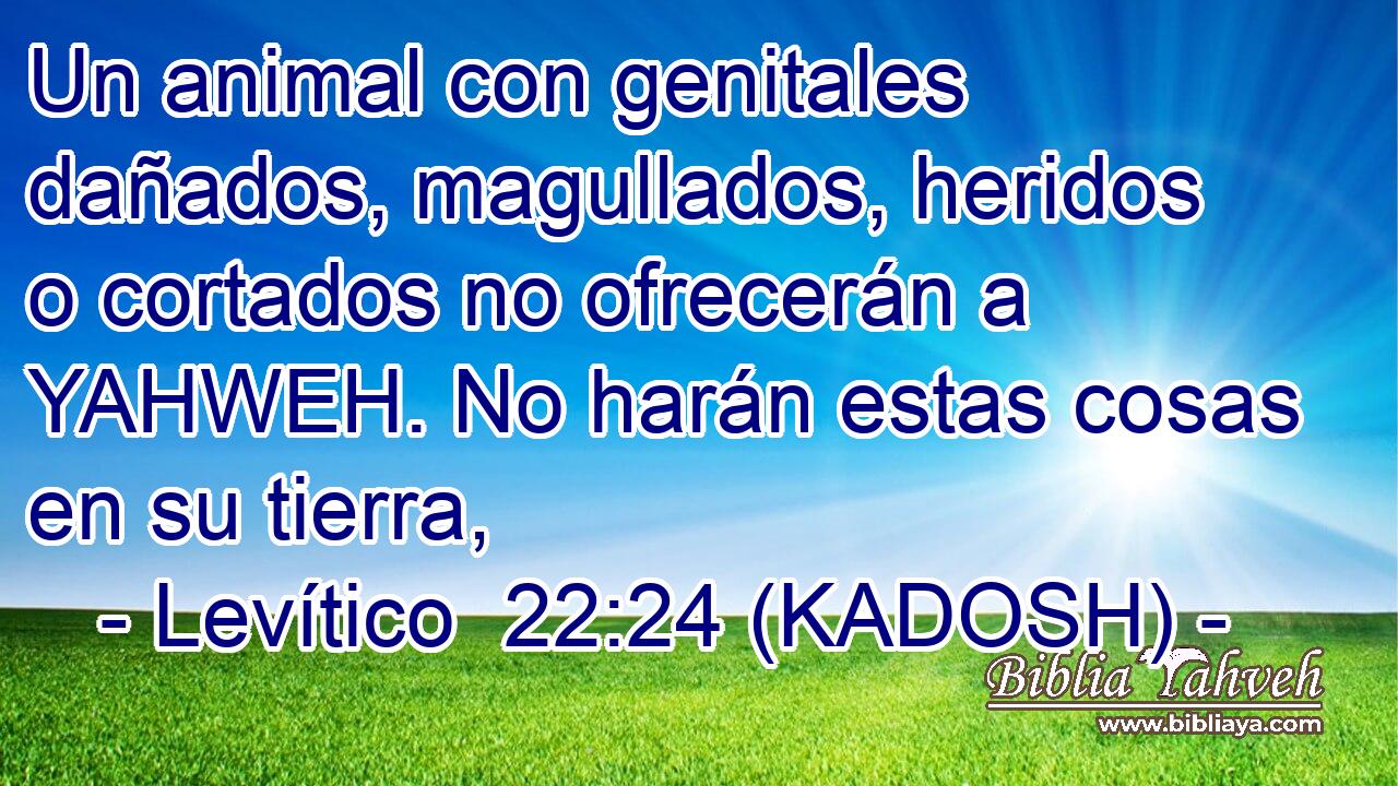  Un animal con genitales dañados, magullados, heridos o cortados no ofrecerán a YAHWEH. No harán estas cosas en su tierra, 