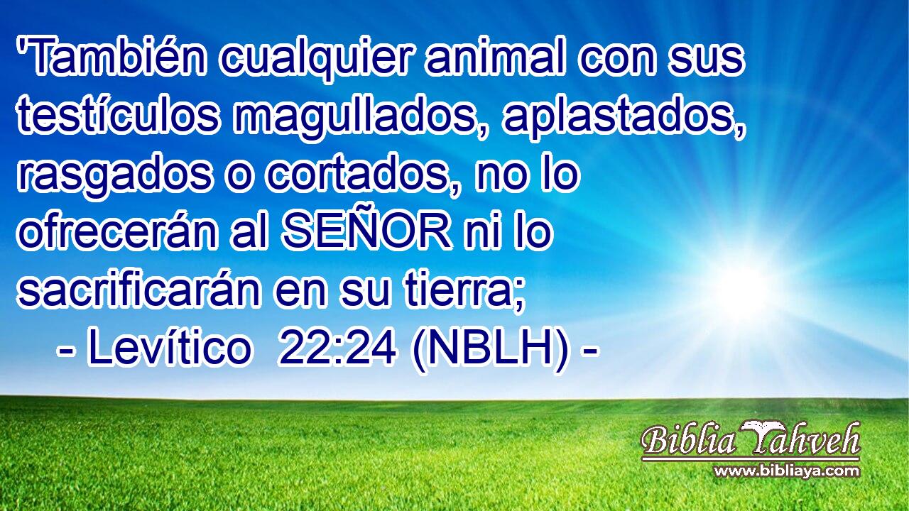  'También cualquier animal con sus testículos magullados, aplastados, rasgados o cortados, no lo ofrecerán al SEÑOR ni lo sacrificarán en su tierra; 