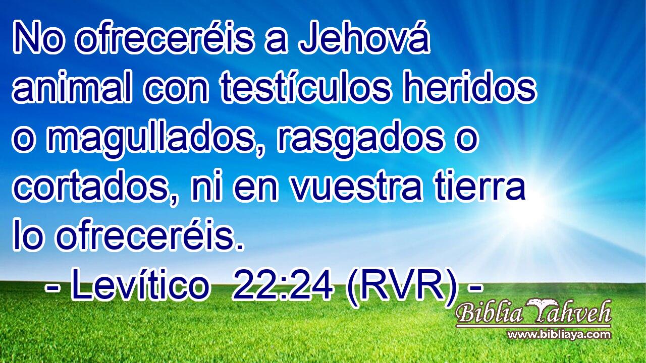 No ofreceréis a Jehová animal con testículos heridos o magullados, rasgados o cortados, ni en vuestra tierra lo ofreceréis.