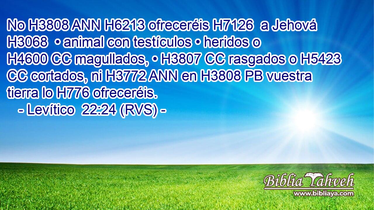 No H3808 ANN H6213 ofreceréis H7126  a Jehová H3068  • animal con testículos • heridos o H4600 CC magullados, • H3807 CC rasgados o H5423 CC cortados, ni H3772 ANN en H3808 PB vuestra tierra lo H776 ofreceréis. 