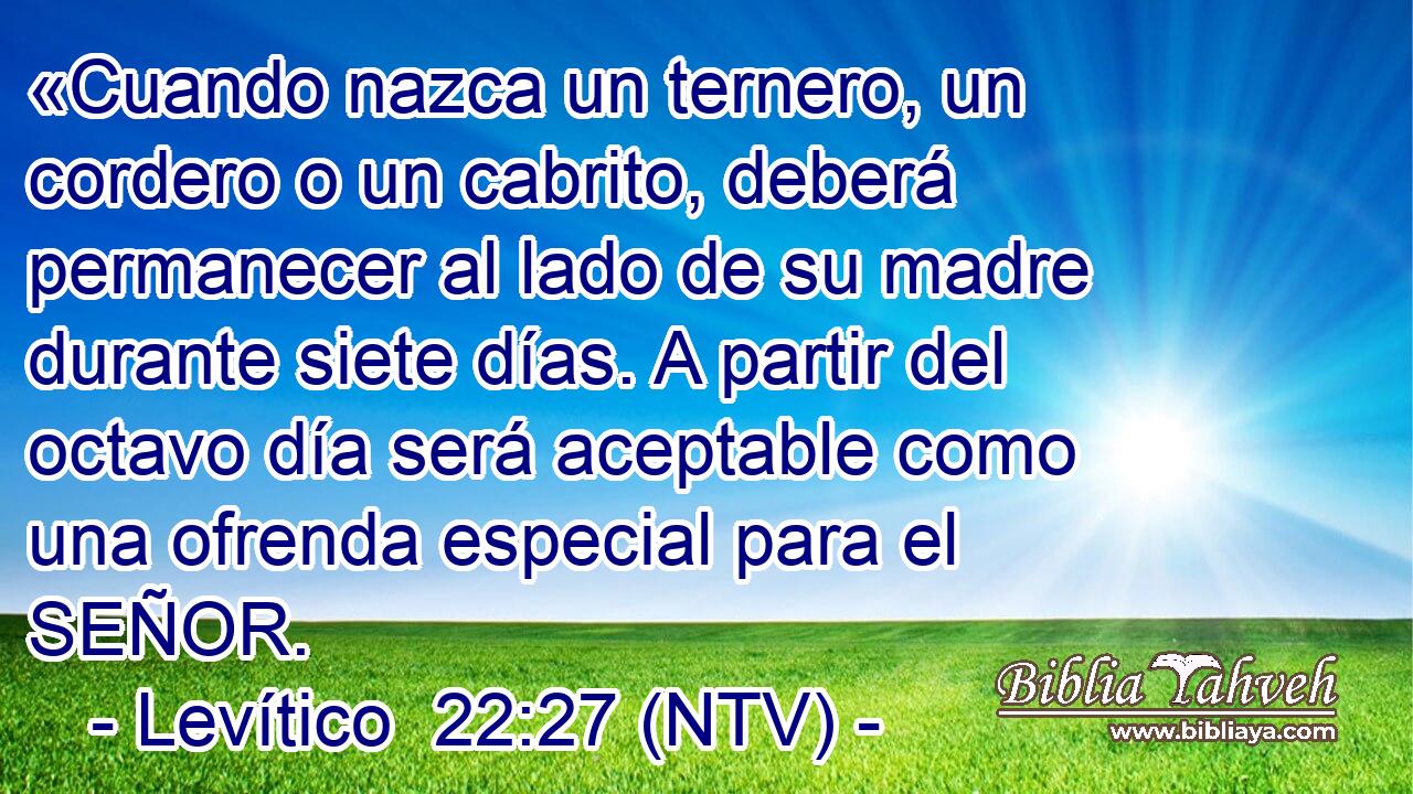 «Cuando nazca un ternero, un cordero o un cabrito, deberá permanecer al lado de su madre durante siete días. A partir del octavo día será aceptable como una ofrenda especial para el SEÑOR.