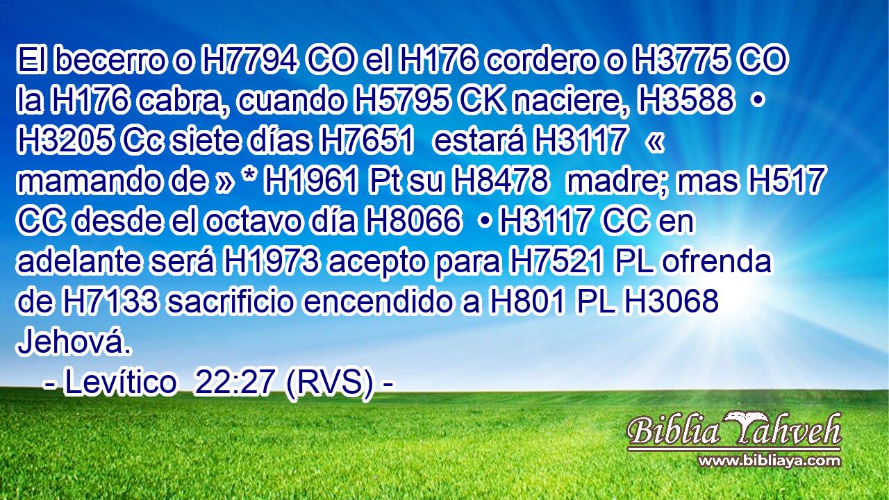 El becerro o H7794 CO el H176 cordero o H3775 CO la H176 cabra, cuando H5795 CK naciere, H3588  • H3205 Cc siete días H7651  estará H3117  « mamando de » * H1961 Pt su H8478  madre; mas H517 CC desde el octavo día H8066  • H3117 CC en adelante será H1973 acepto para H7521 PL ofrenda de H7133 sacrificio encendido a H801 PL H3068 Jehová. 