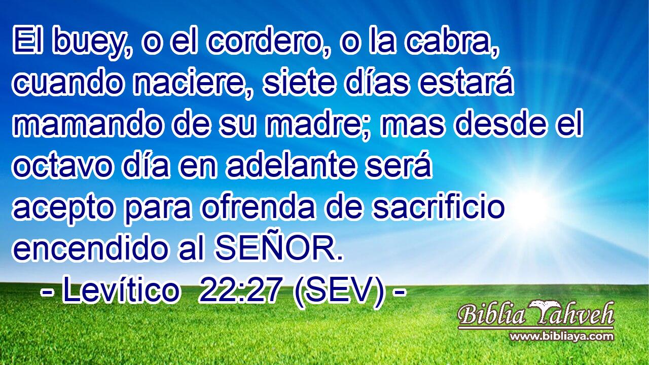 El buey, o el cordero, o la cabra, cuando naciere, siete días estará mamando de su madre; mas desde el octavo día en adelante será acepto para ofrenda de sacrificio encendido al SEÑOR.