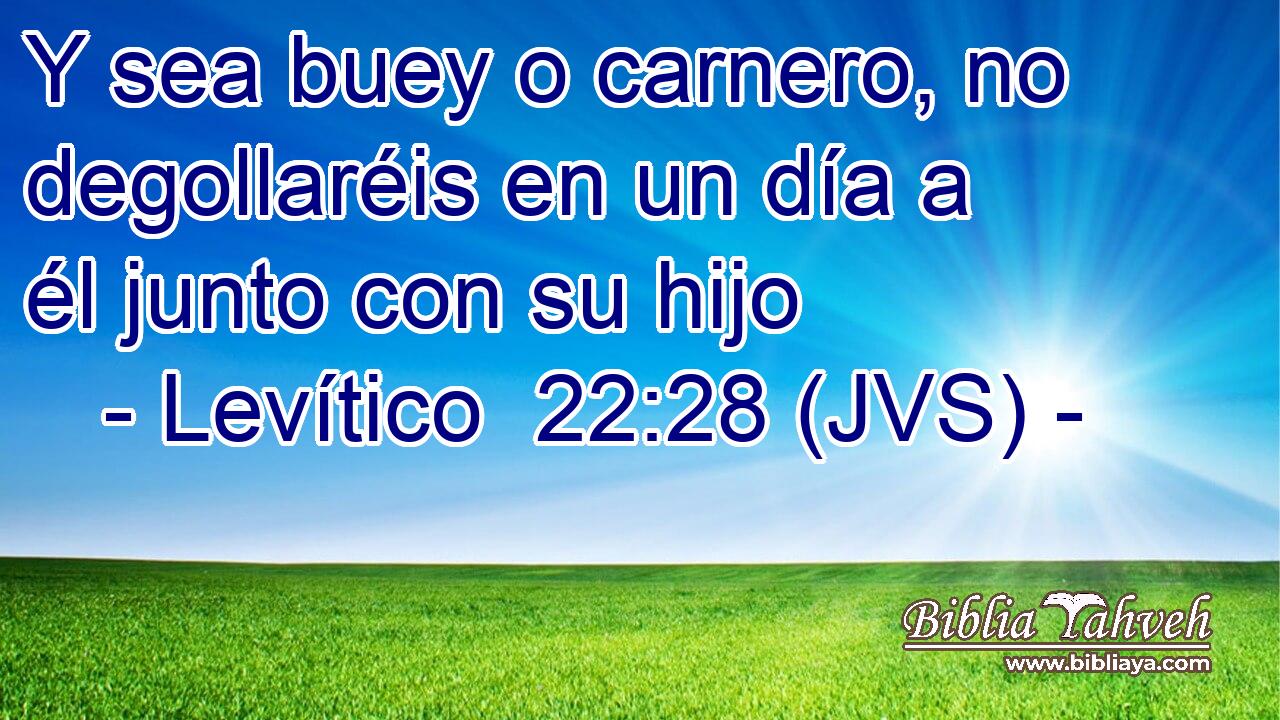 Y sea buey o carnero, no degollaréis en un día a él junto con su hijo