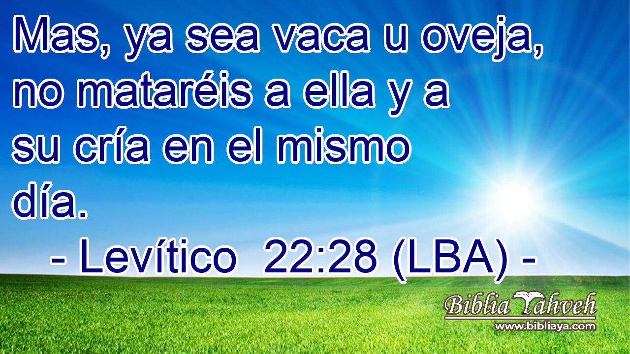 Mas, ya sea vaca u oveja, no mataréis a ella y a su cría en el mismo día.