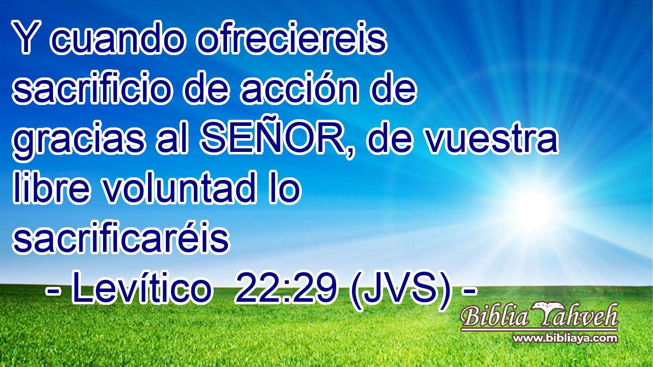 Y cuando ofreciereis sacrificio de acción de gracias al SEÑOR, de vuestra libre voluntad lo sacrificaréis
