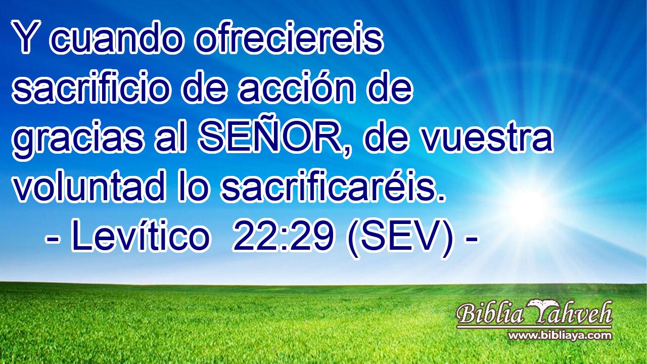 Y cuando ofreciereis sacrificio de acción de gracias al SEÑOR, de vuestra voluntad lo sacrificaréis.
