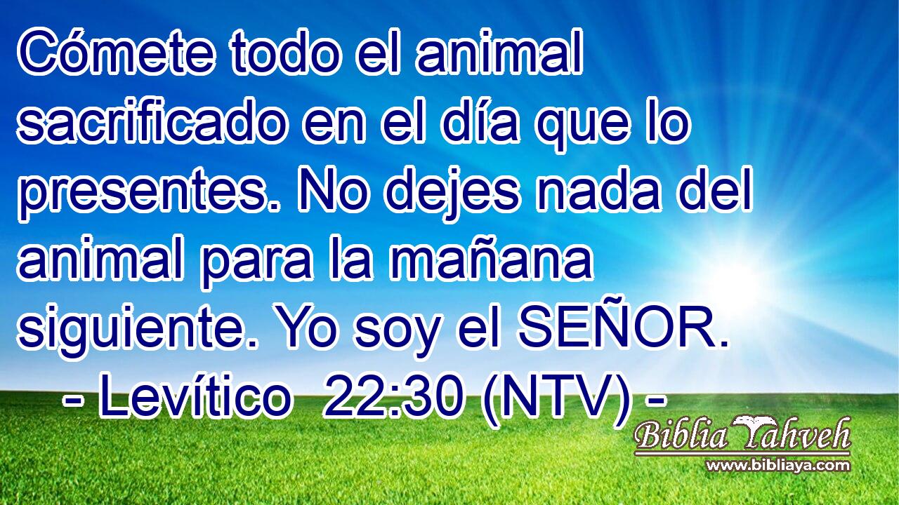 Cómete todo el animal sacrificado en el día que lo presentes. No dejes nada del animal para la mañana siguiente. Yo soy el SEÑOR.
