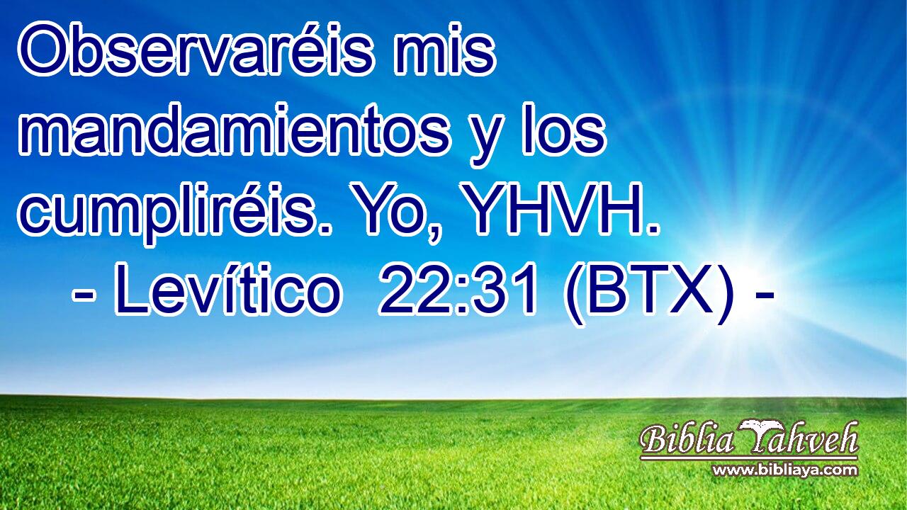 Observaréis mis mandamientos y los cumpliréis. Yo, YHVH.